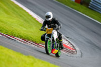 PJ-Motorsport-2019;anglesey;brands-hatch;cadwell-park;croft;donington-park;enduro-digital-images;event-digital-images;eventdigitalimages;mallory;no-limits;oulton-park;peter-wileman-photography;racing-digital-images;silverstone;snetterton;trackday-digital-images;trackday-photos;vmcc-banbury-run;welsh-2-day-enduro